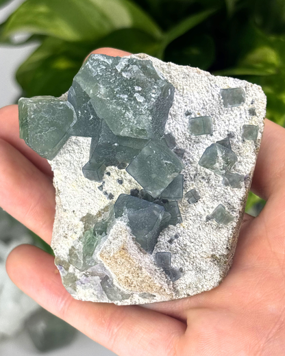 Blue Fluorite Specimen