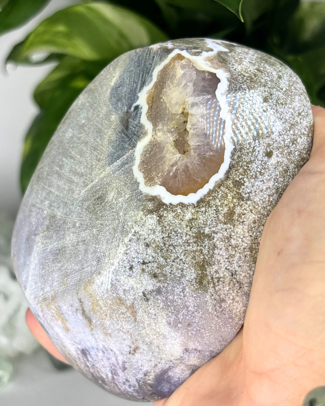 Druzy Purple Ocean Jasper Bowl