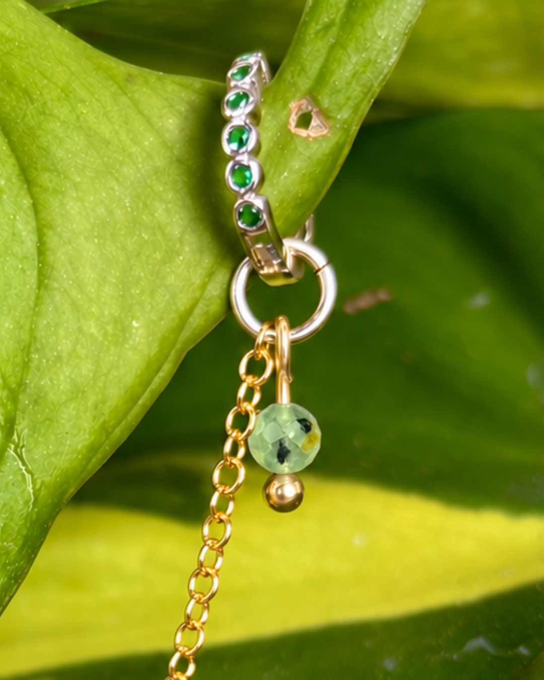 The Aphrodite Chain