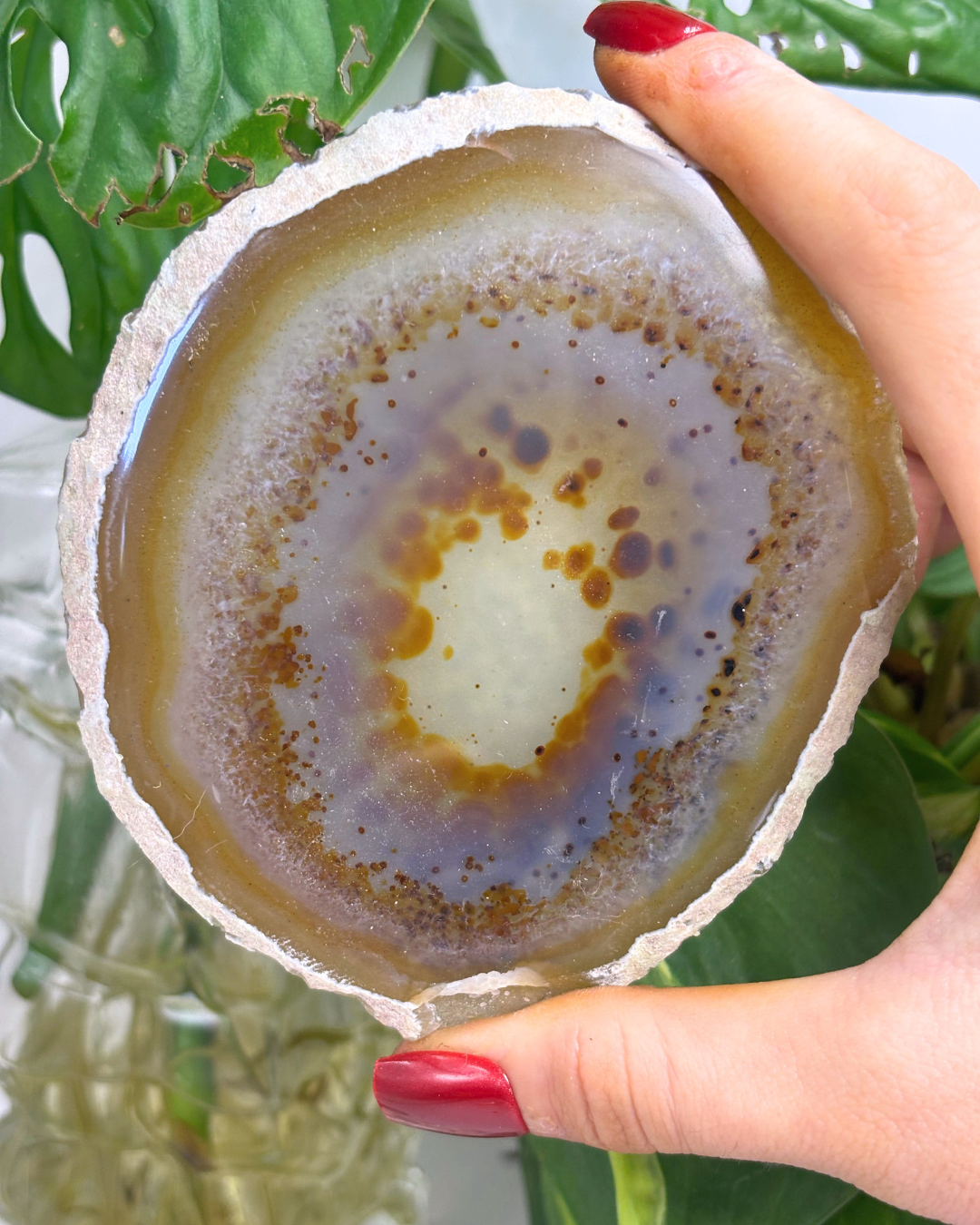 Brown Spotted Agate Slice