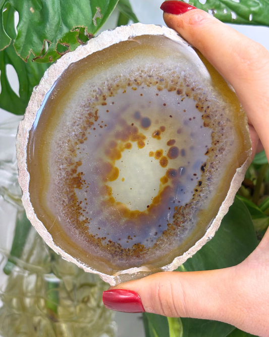 Brown Spotted Agate Slice