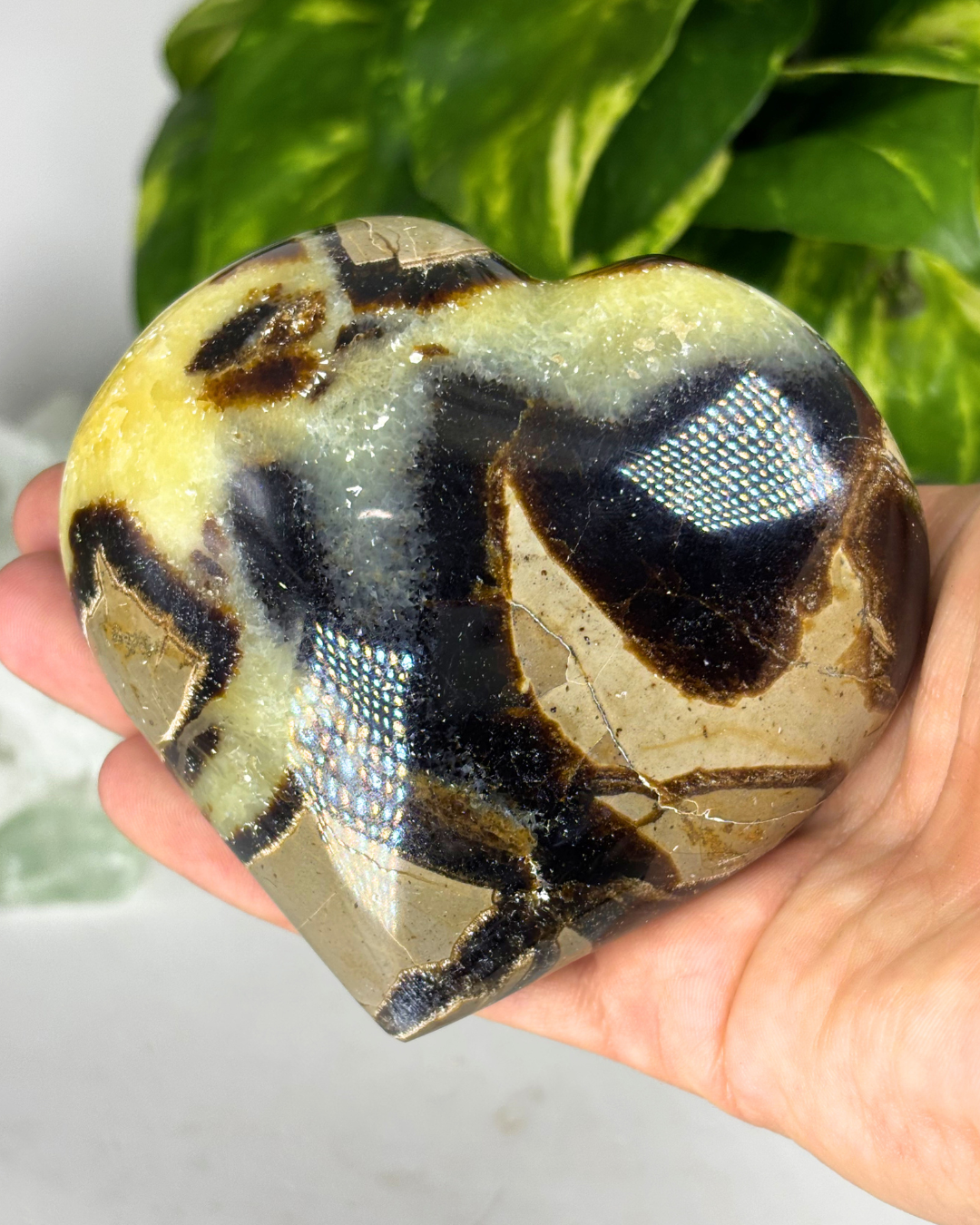 XL Septarian Heart