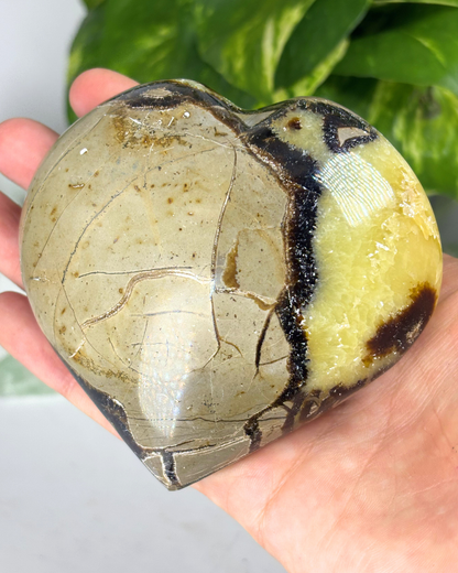 XL Septarian Heart