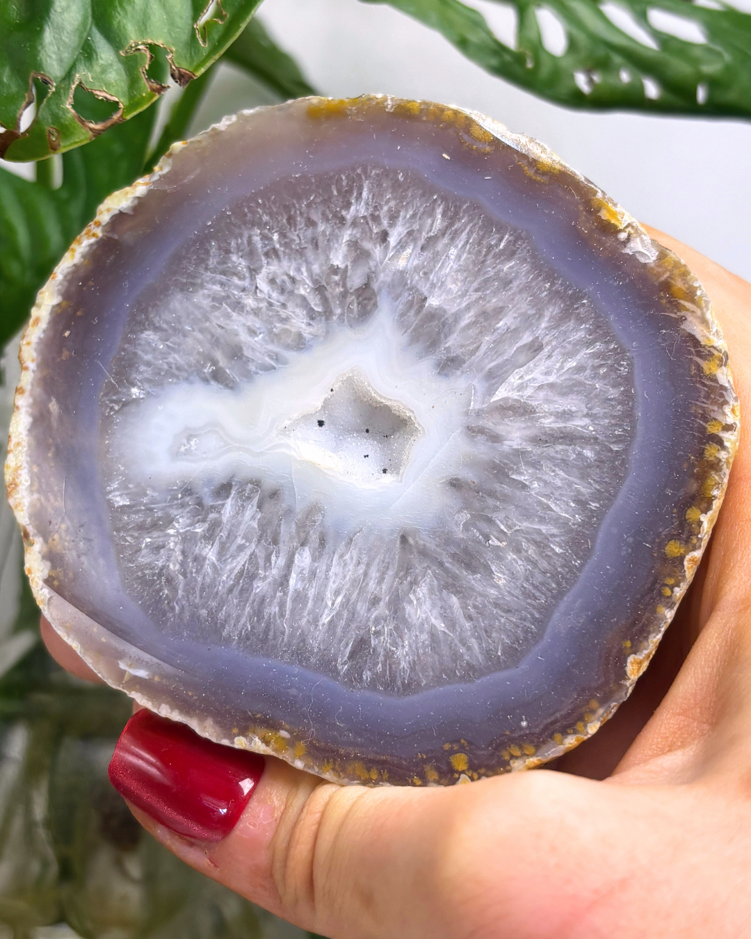 XL Druzy Agate Geode