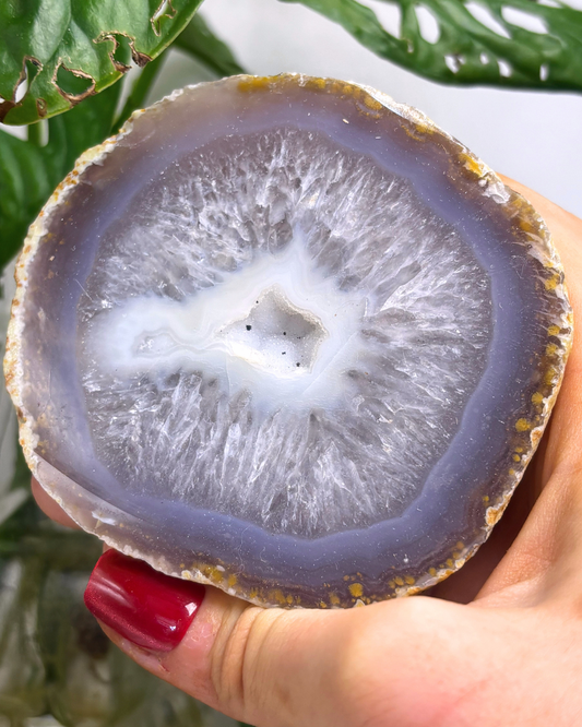 XL Druzy Agate Geode