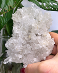 XL Clear Quartz Cluster